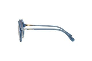 Seitenansicht Swarovski SK6003 (10354L)