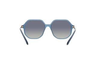 Rückansicht Swarovski SK6003 (10354L)