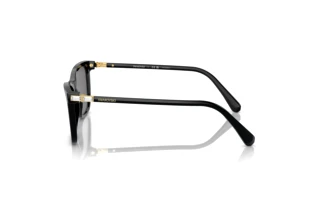 Seitenansicht Swarovski SK6004 (100181)