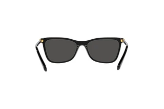 Rückansicht Swarovski SK6004 (100187)