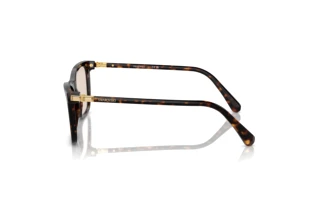 Seitenansicht Swarovski SK6004 (1002M4)