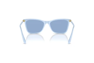 Rückansicht Swarovski SK6004 (10061U)