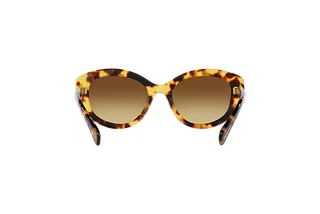 Rückansicht Swarovski SK6005 (100913)