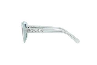 Seitenansicht Swarovski SK6005 (10244L)