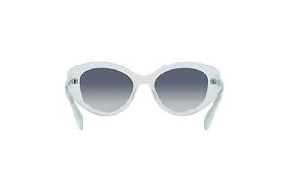 Rückansicht Swarovski SK6005 (10244L)