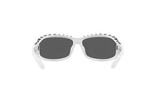 Rückansicht Swarovski SK6009 (102987)