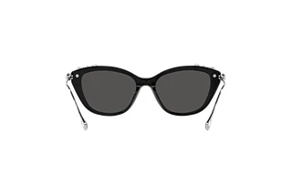 Rückansicht Swarovski SK6010 (103887)