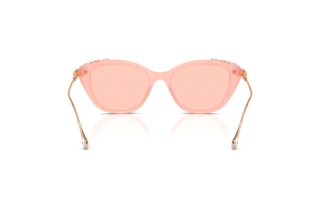 Rückansicht Swarovski SK6010 (1041/5)