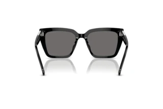 Rückansicht Swarovski SK6013 (101581)