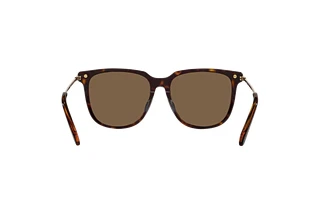 Rückansicht Swarovski SK6015D (100273)