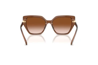 Rückansicht Swarovski SK6016 (106713)