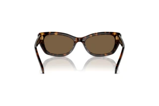 Rückansicht Swarovski SK6019 (100273)