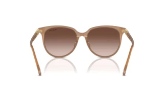 Rückansicht Swarovski SK6023D (200213)