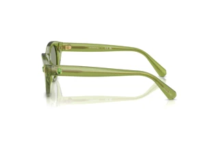 Seitenansicht Swarovski SK6025 (3002/2)