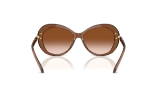 Rückansicht Swarovski SK6026 (106713)