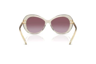 Rückansicht Swarovski SK6026 (30038H)