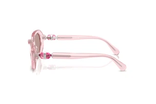 Seitenansicht Swarovski SK6028 (30017N)