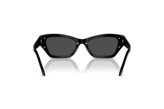 Rückansicht Swarovski SK6029 (100187)