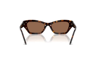 Rückansicht Swarovski SK6029 (100273)