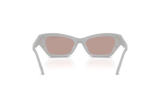 Rückansicht Swarovski SK6029 (10317N)