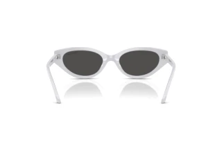 Rückansicht Swarovski SK6030 (106087)