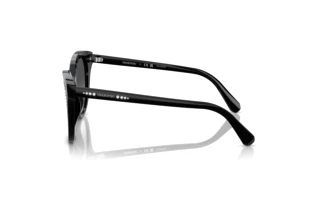 Seitenansicht Swarovski SK6031 (1001T3)