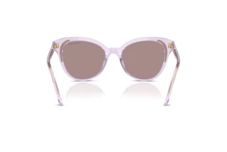 Rückansicht Swarovski SK6031 (1079LA)