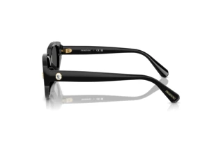 Seitenansicht Swarovski SK6035D (100187)