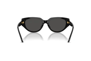 Rückansicht Swarovski SK6035D (100187)