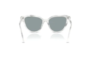 Rückansicht Swarovski SK6039 (1042/1)