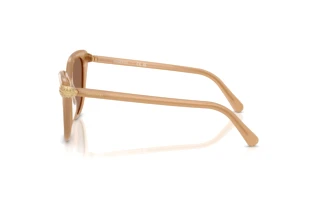 Seitenansicht Swarovski SK6039 (2002OK)