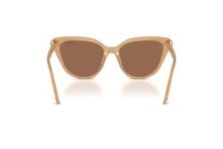 Rückansicht Swarovski SK6039 (2002OK)