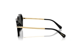 Seitenansicht Swarovski SK6040 (100187)