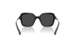 Rückansicht Swarovski SK6040 (100187)