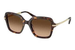 Swarovski SK6040 100274 Gradient BrownHavana