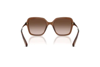 Rückansicht Swarovski SK6040 (106713)