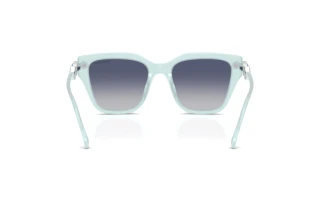 Rückansicht Swarovski SK6041 (10244L)