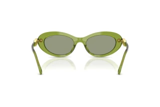 Rückansicht Swarovski SK6042 (3002/2)