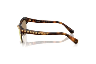 Seitenansicht Swarovski SK6043 (100271)