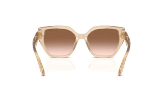 Rückansicht Swarovski SK6044U (103413)