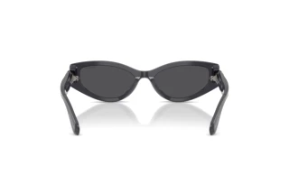 Rückansicht Swarovski SK6045U (10836G)