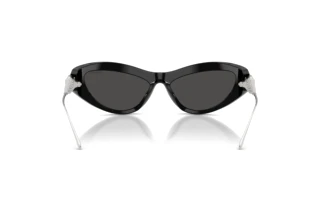 Rückansicht Swarovski SK6046 (100187)