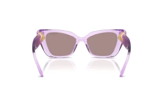 Rückansicht Swarovski SK6047 (1079LA)