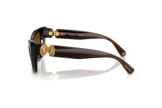 Seitenansicht Swarovski SK6047 (1084T5)