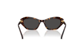 Rückansicht Swarovski SK6048 (100287)