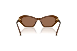 Rückansicht Swarovski SK6048 (108473)