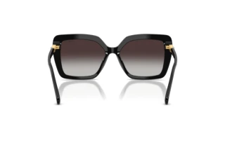 Rückansicht Swarovski SK6049 (10018G)