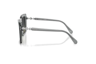 Seitenansicht Swarovski SK6049 (106211)