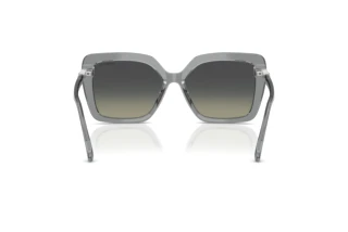 Rückansicht Swarovski SK6049 (106211)