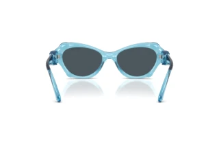 Rückansicht Swarovski SK6050 (107887)